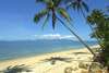 Coconut Sands 